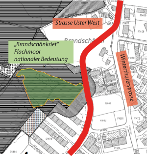 Flachmoor Brandschänkiriet